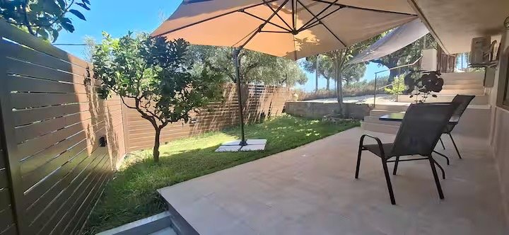 Shaded garden terrace with lounge chairs and olive tree